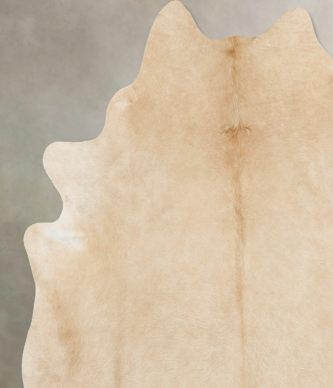 Palomino X-Large Brazilian Cowhide Rug 7'2"H x 6'7"W #B14827 by Hudson