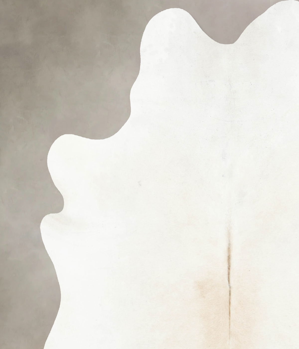 Ivory with Beige Cowhide Rug #B14880