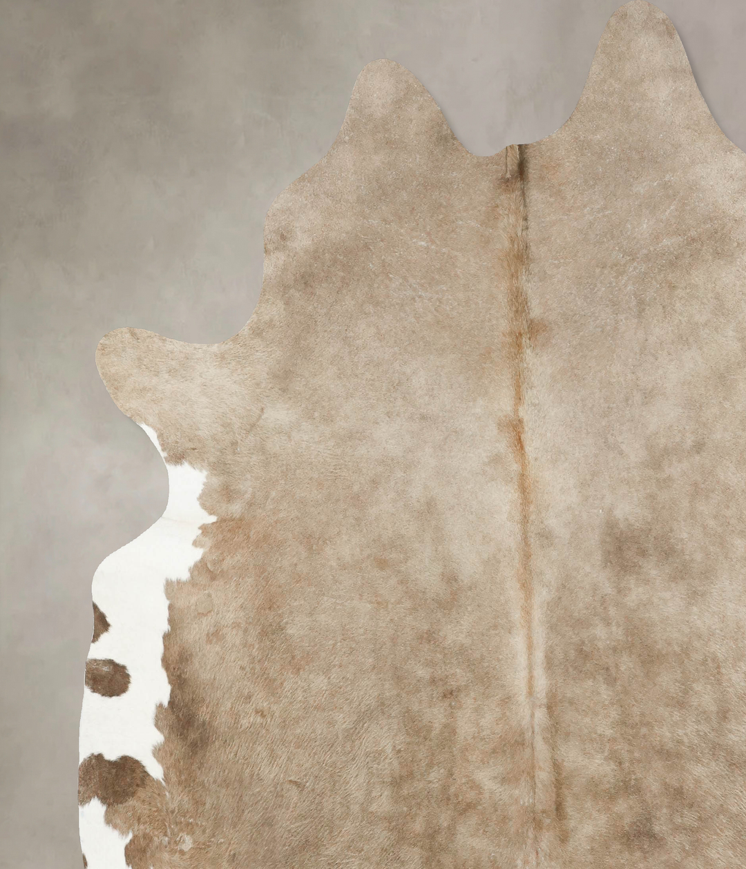 Taupe XX-Large Brazilian Cowhide Rug 8'1"H x 7'5"W #B14892 by Hudson H