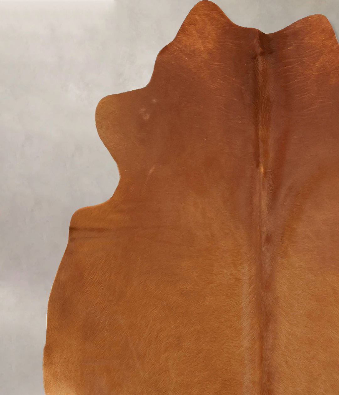 Solid Brown X-Large Brazilian Cowhide Rug 6'8"H x 6'3"W #B14898 by Hud