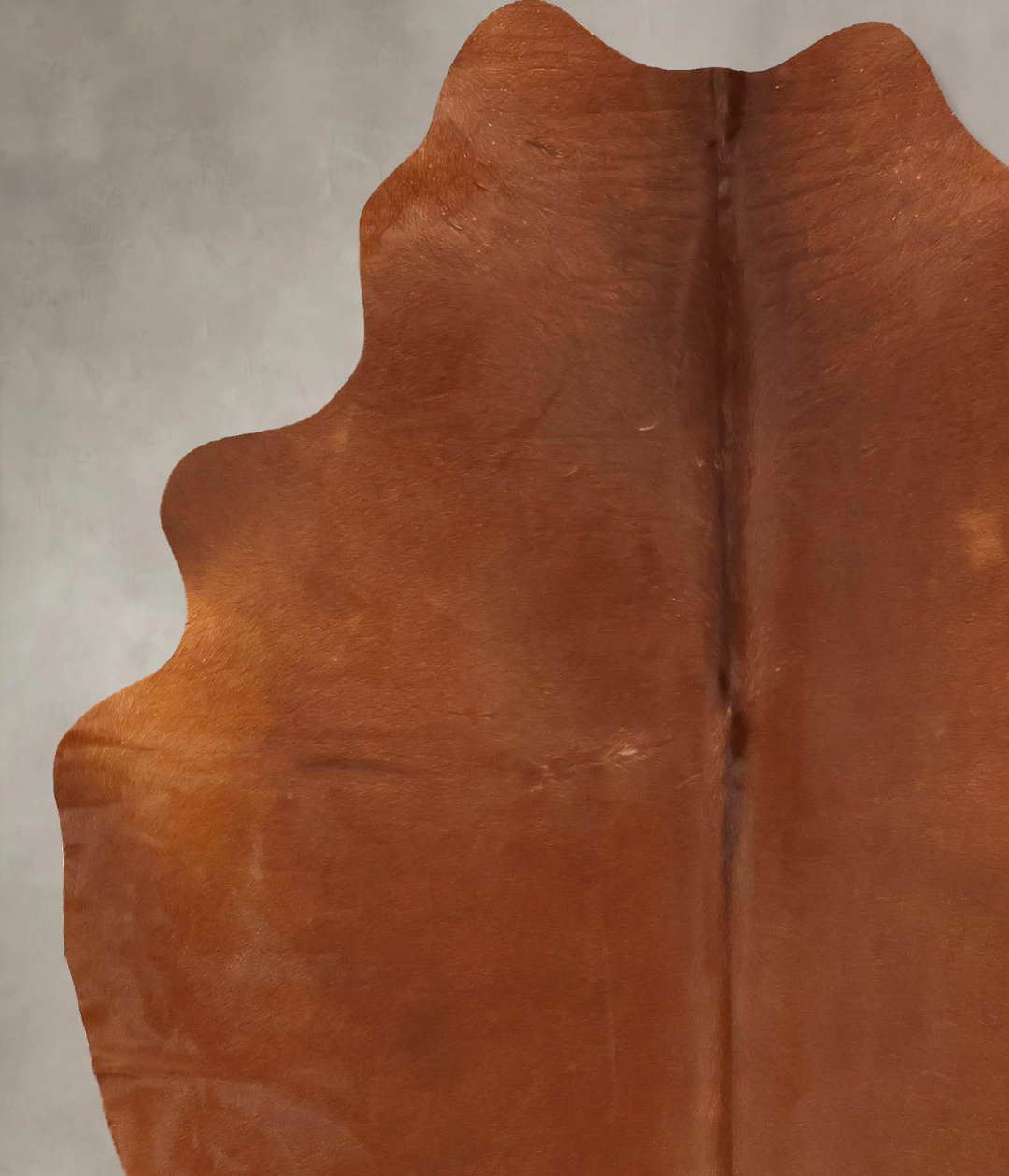 Solid Brown X-Large Brazilian Cowhide Rug 6'11"H x 5'10"W #B14899 by H