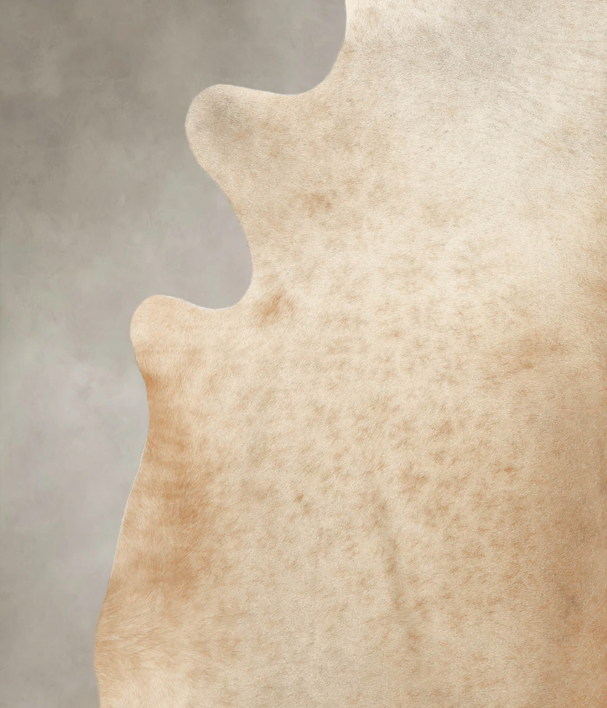 Champagne X-Large Brazilian Cowhide Rug 7'2"H x 6'9"W #B1490 by Hudson Hides