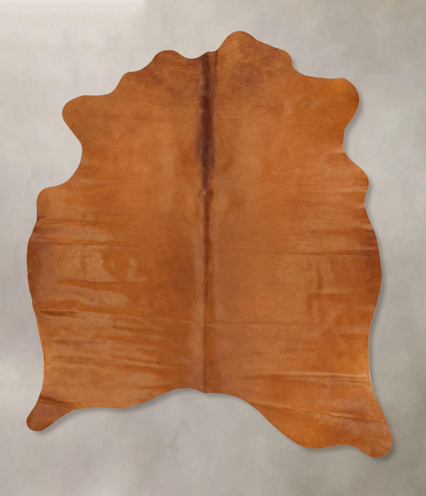 Solid Brown Medium Brazilian Cowhide Rug 5'10"H x 5'0"W #B14900 by Hudson Hides