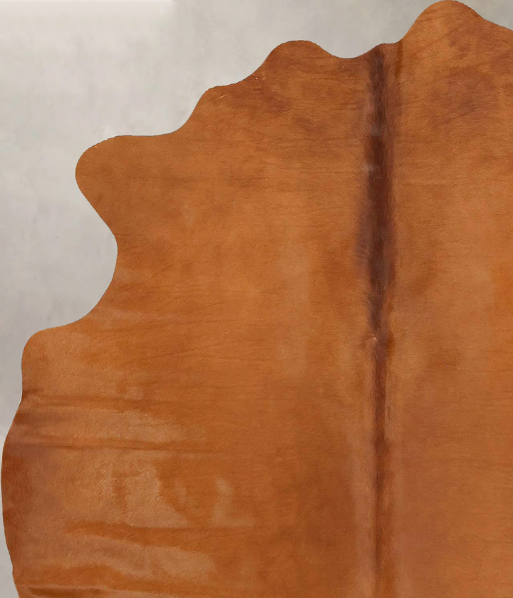 Solid Brown Medium Brazilian Cowhide Rug 5'10"H x 5'0"W #B14900 by Hudson Hides