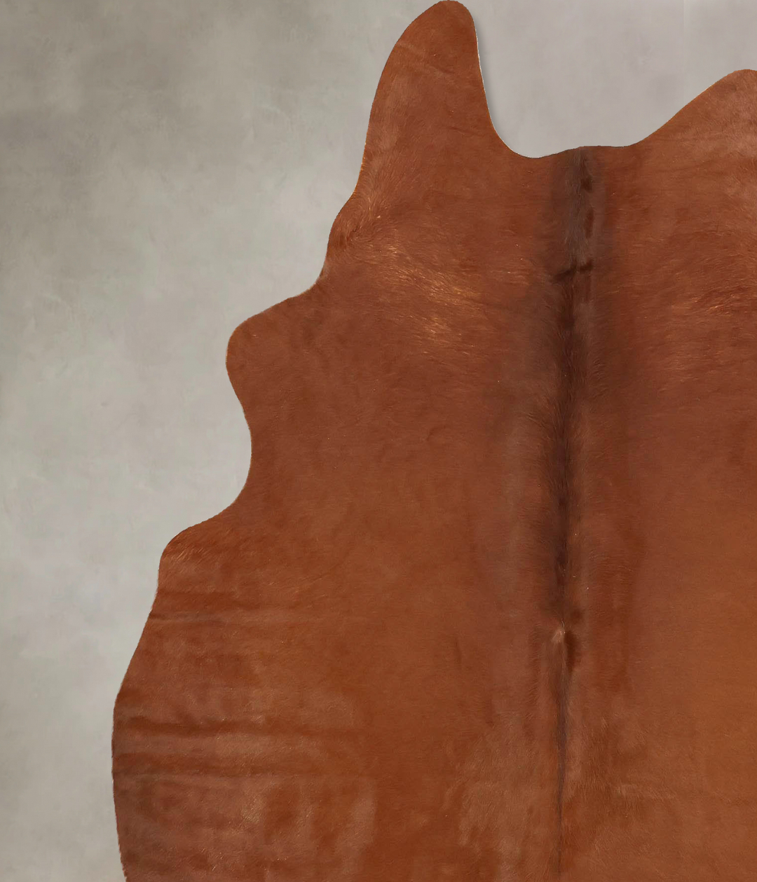 Solid Brown X-Large Brazilian Cowhide Rug 7'0"H x 6'0"W #B14901 by Hud