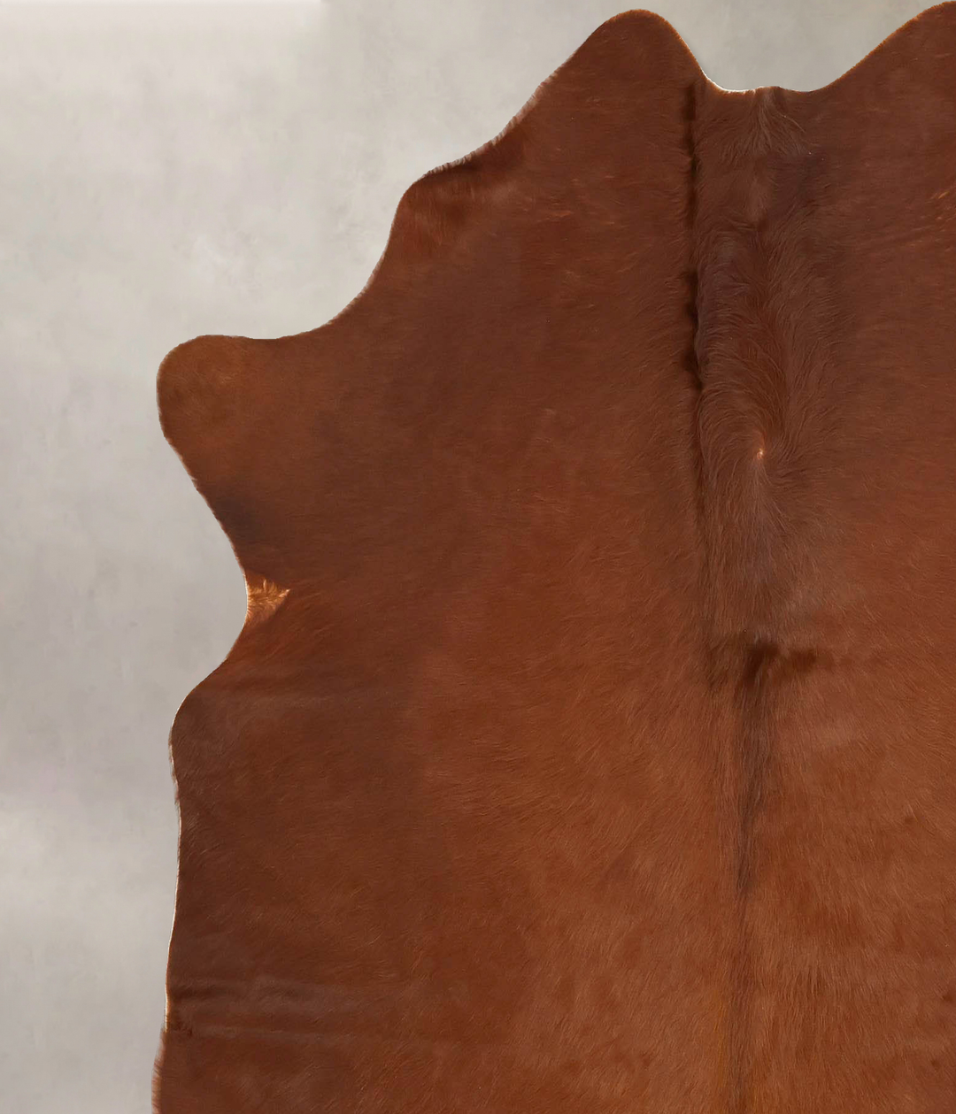 Solid Brown X-Large Brazilian Cowhide Rug 6'9"H x 6'1"W #B14903 by Hud