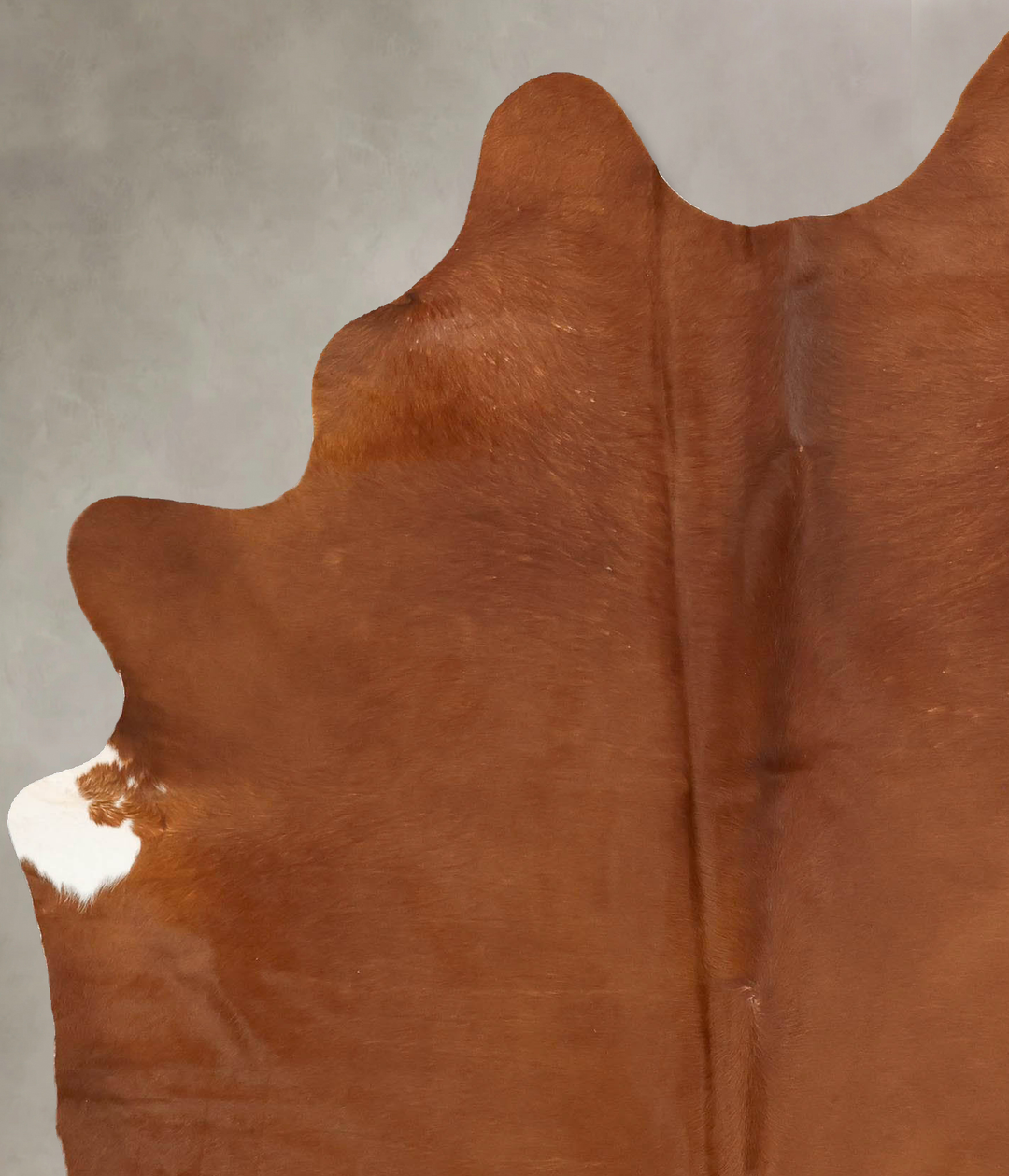 Solid Brown X-Large Brazilian Cowhide Rug 7'8"H x 5'7"W #B14904 by Hud