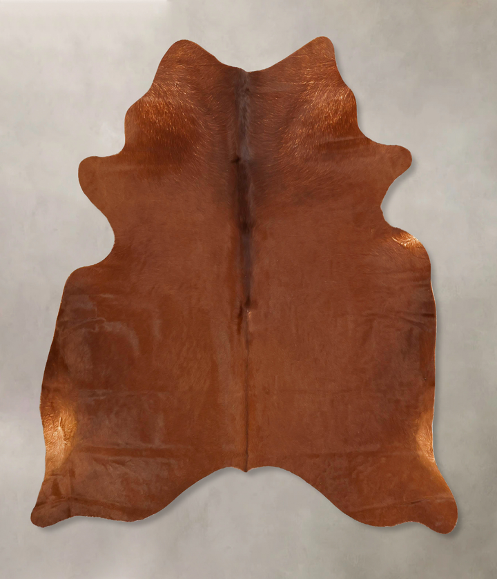 Solid Brown Large Brazilian Cowhide Rug 6'6"H x 6'1"W #B14905 by Hudson Hides