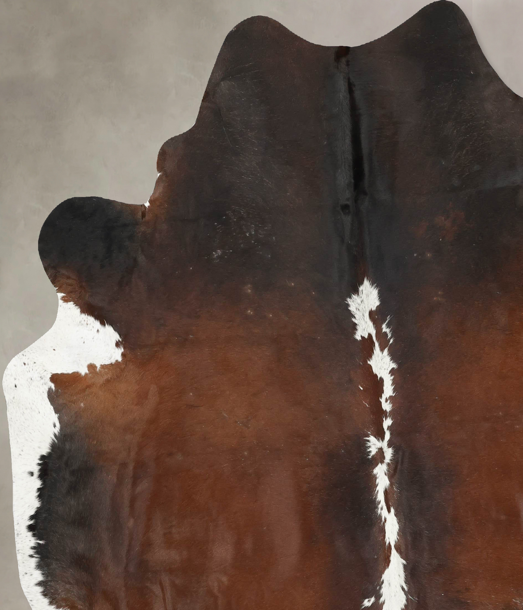Chocolate and White XX-Large Brazilian Cowhide Rug 8'6"H x 7'5"W #B149