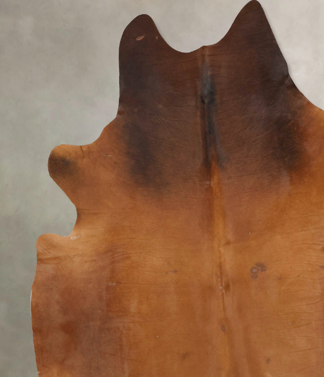 Solid Brown XX-Large Brazilian Cowhide Rug 8'10"H x 7'10"W #B14916 by 