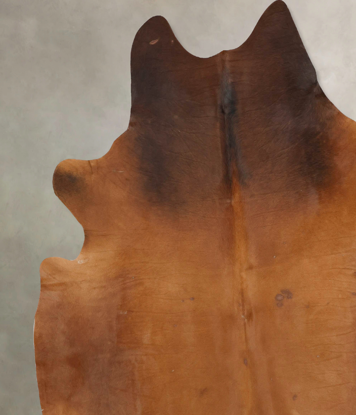 Solid Brown XX-Large Brazilian Cowhide Rug 8'10"H x 7'10"W #B14916 by Hudson Hides