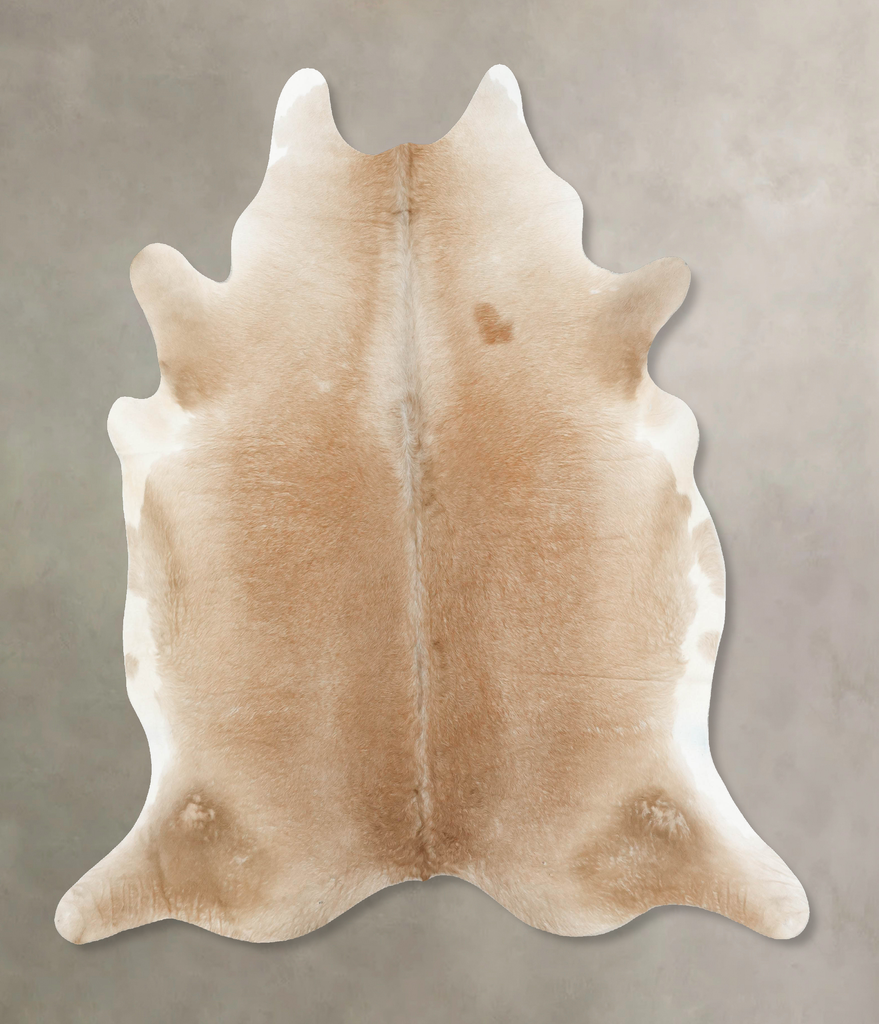 Beige XX-Large Brazilian Cowhide Rug 7'11"H x 7'1"W #B14922 by Hudson Hides