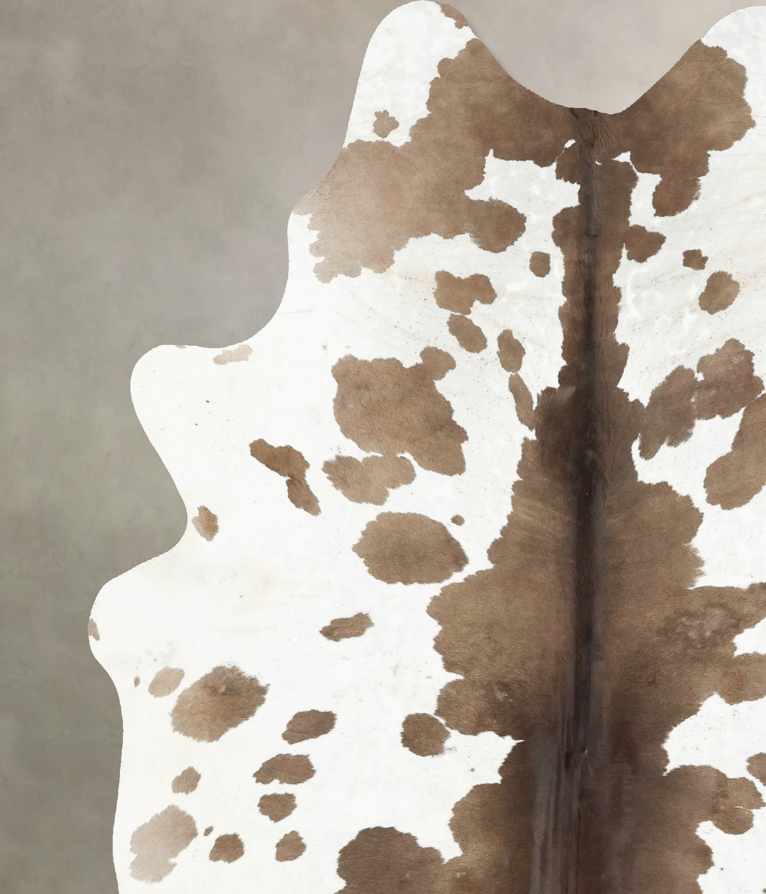 Chocolate and White XX-Large Brazilian Cowhide Rug 8'0"H x 6'8"W #B149