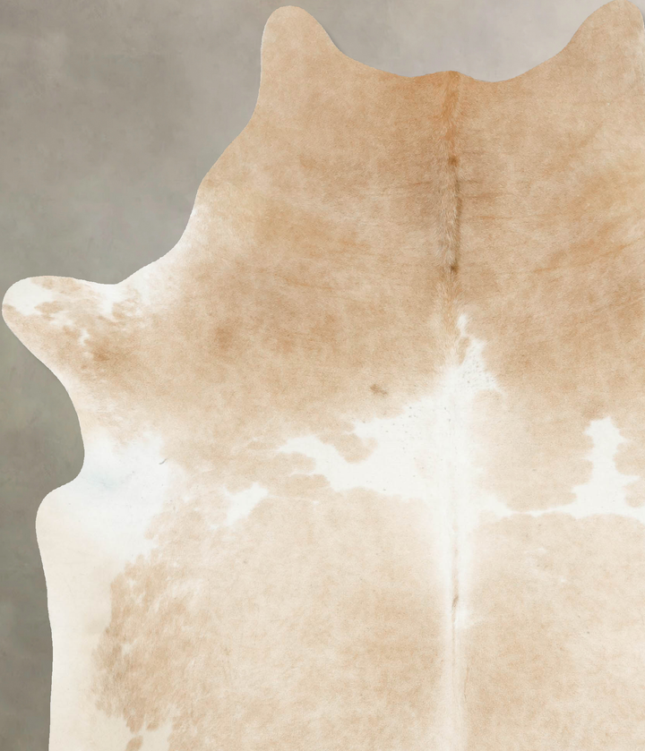 Beige and White XX-Large Brazilian Cowhide Rug 7'9"H x 6'7"W #B14948 by Hudson Hides
