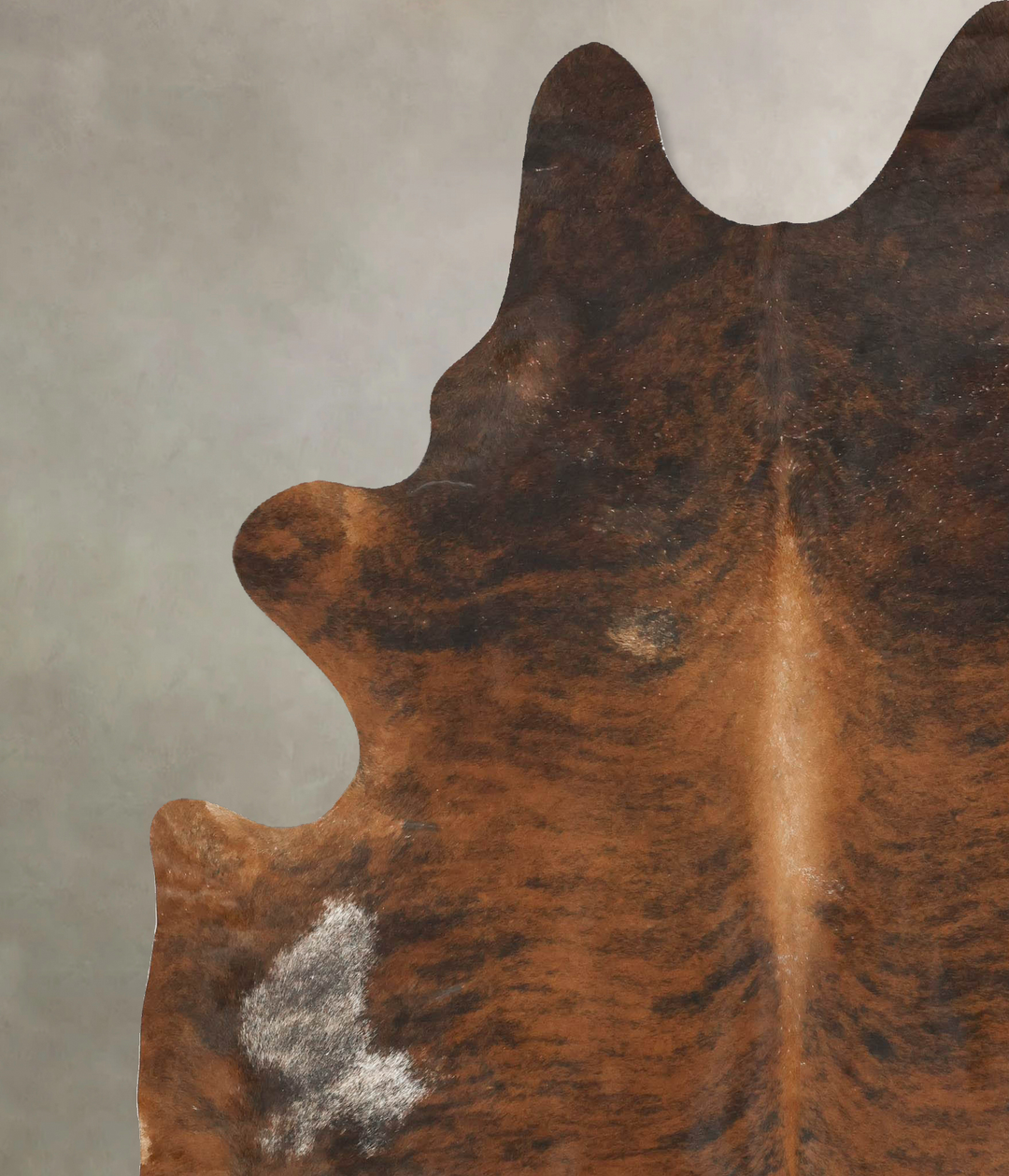 Dark Brindle XX-Large Brazilian Cowhide Rug 8'3"H x 6'10"W #B14957 by 