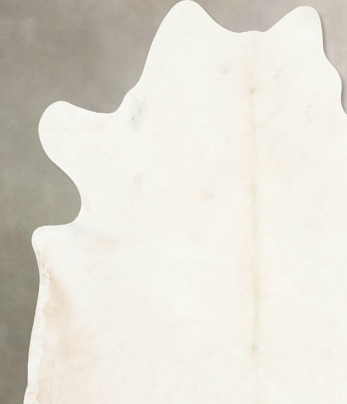 Ivory with Beige XX-Large Brazilian Cowhide Rug 8'1"H x 7'3"W #B14980 by Hudson Hides