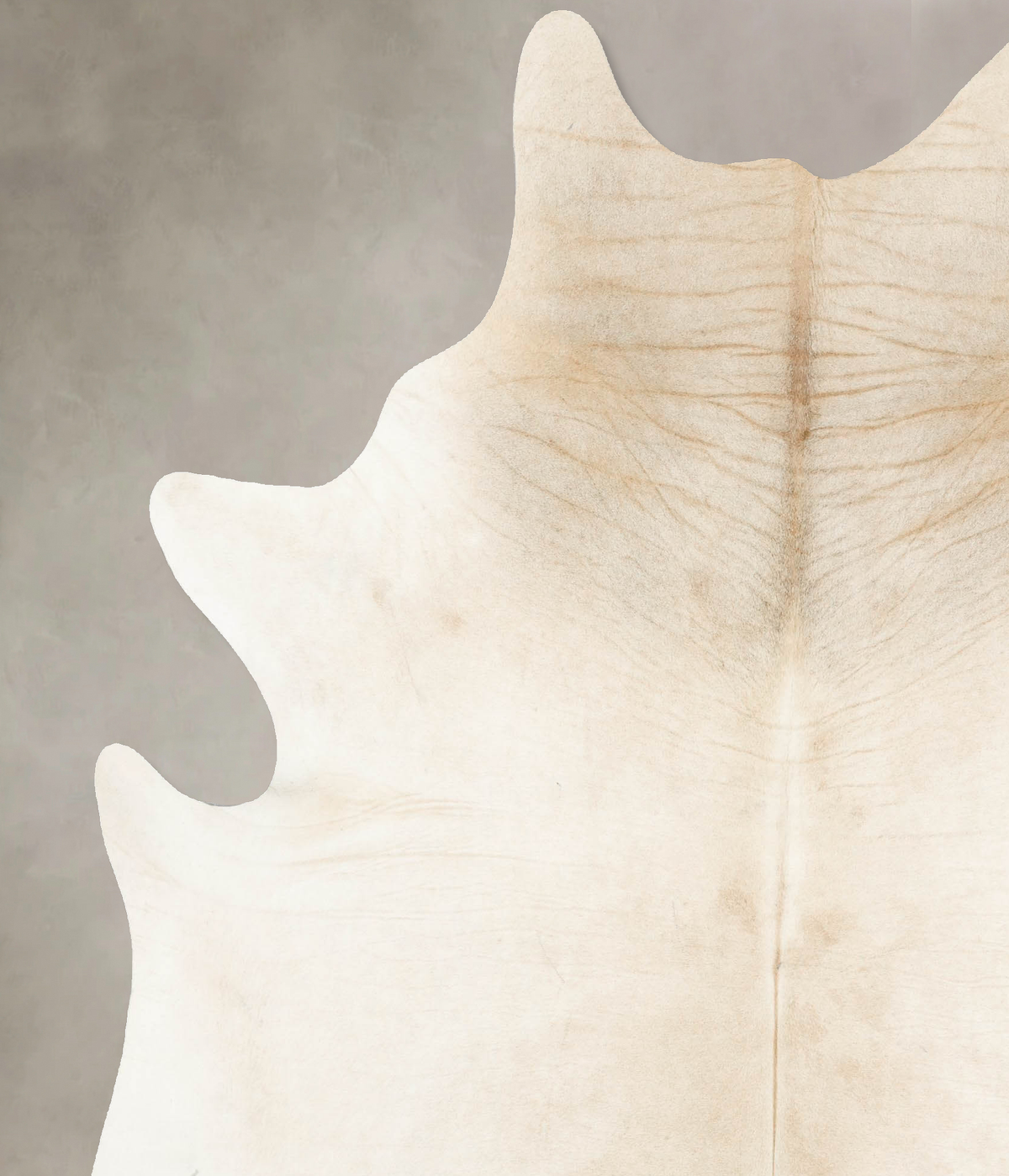 Ivory with Beige Cowhide Rug #B15048