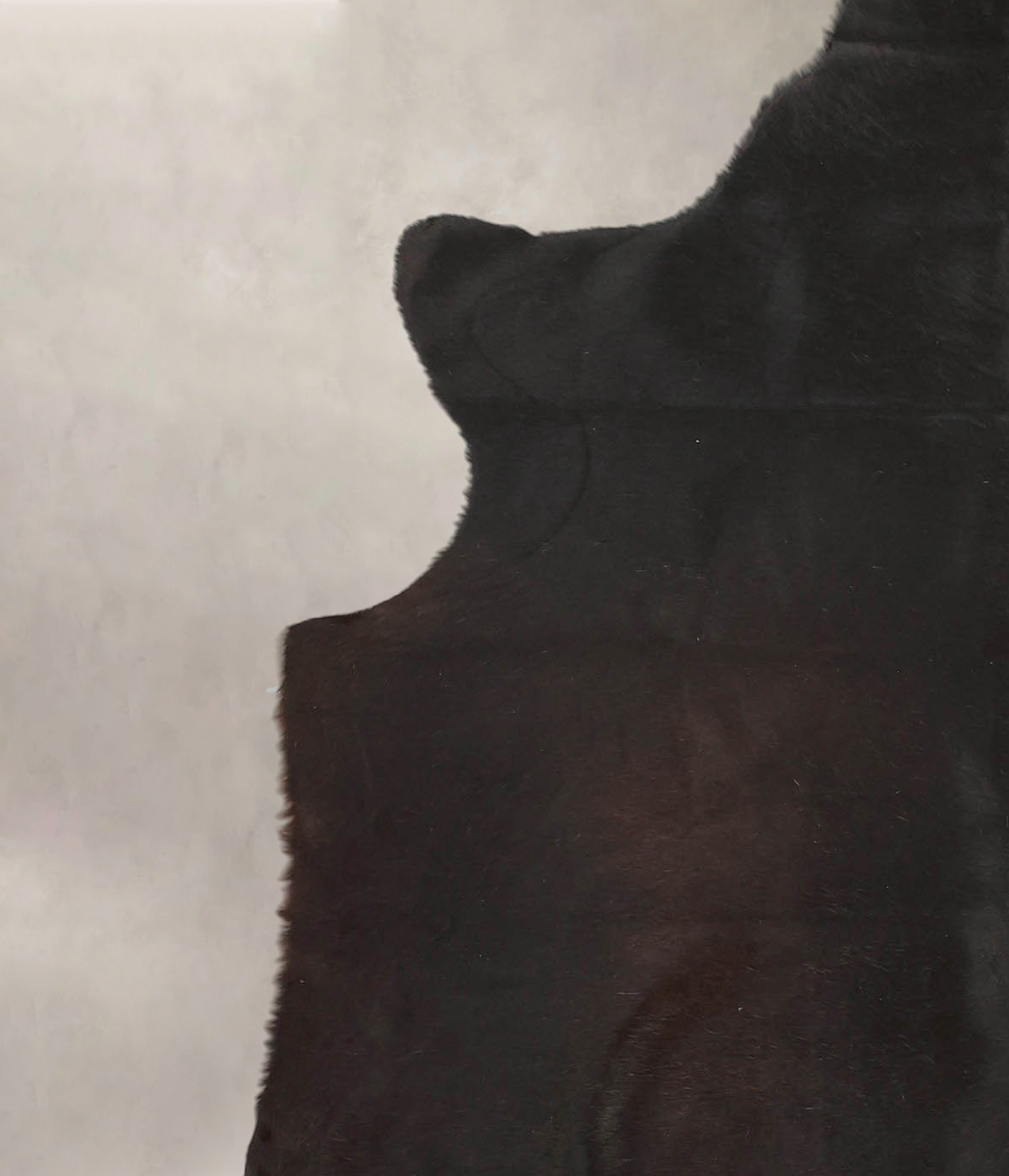 Chocolate Cowhide Rug #B1506