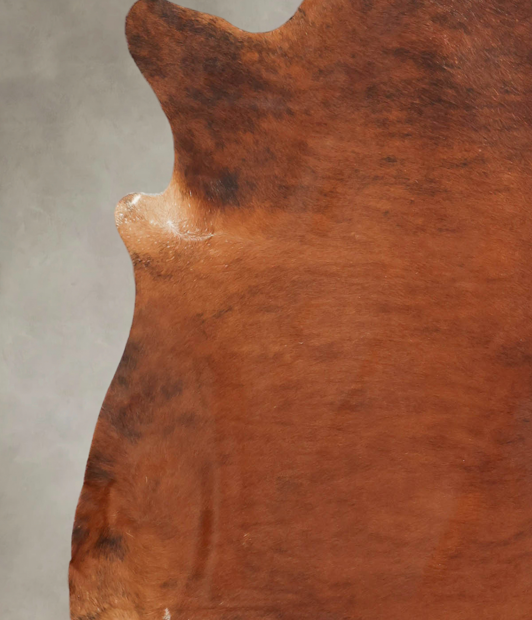 Medium Brindle Cowhide Rug #B1510