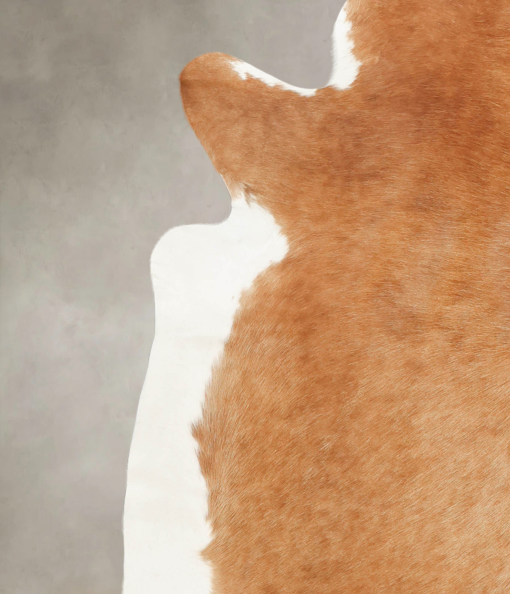 Hereford Cowhide Rug #B1521