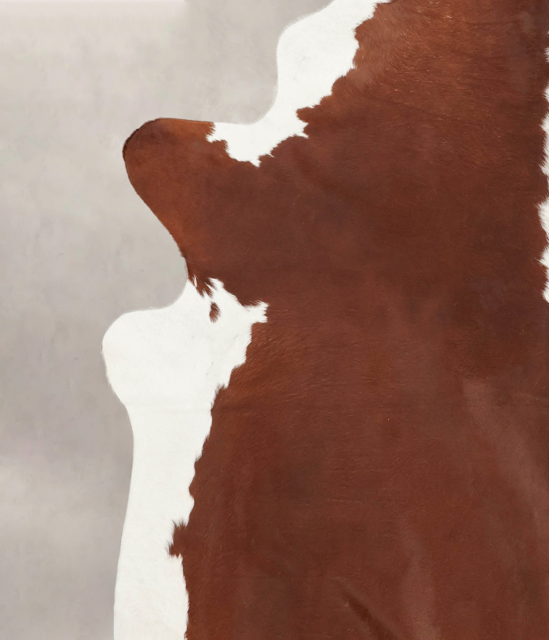 Hereford Cowhide Rug #B1528
