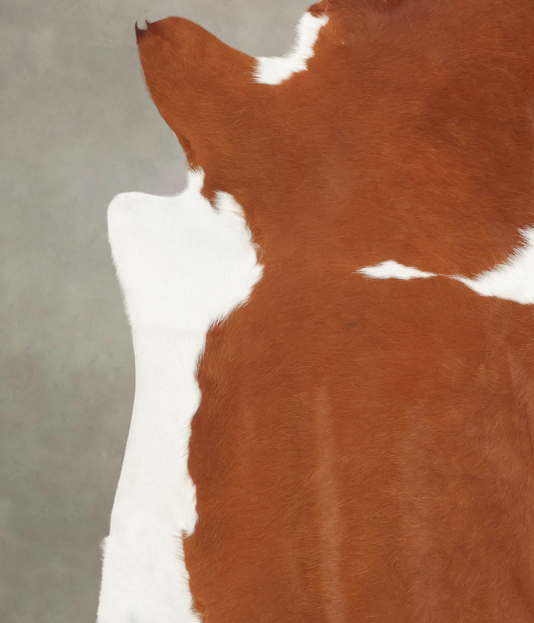 Hereford Cowhide Rug #B1529