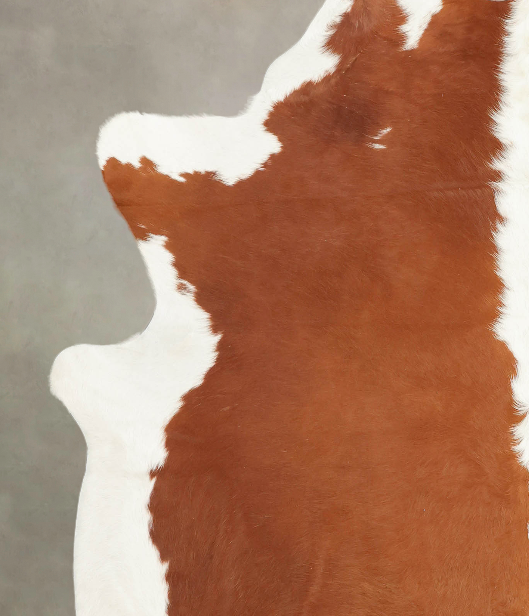 Hereford Cowhide Rug #B1531