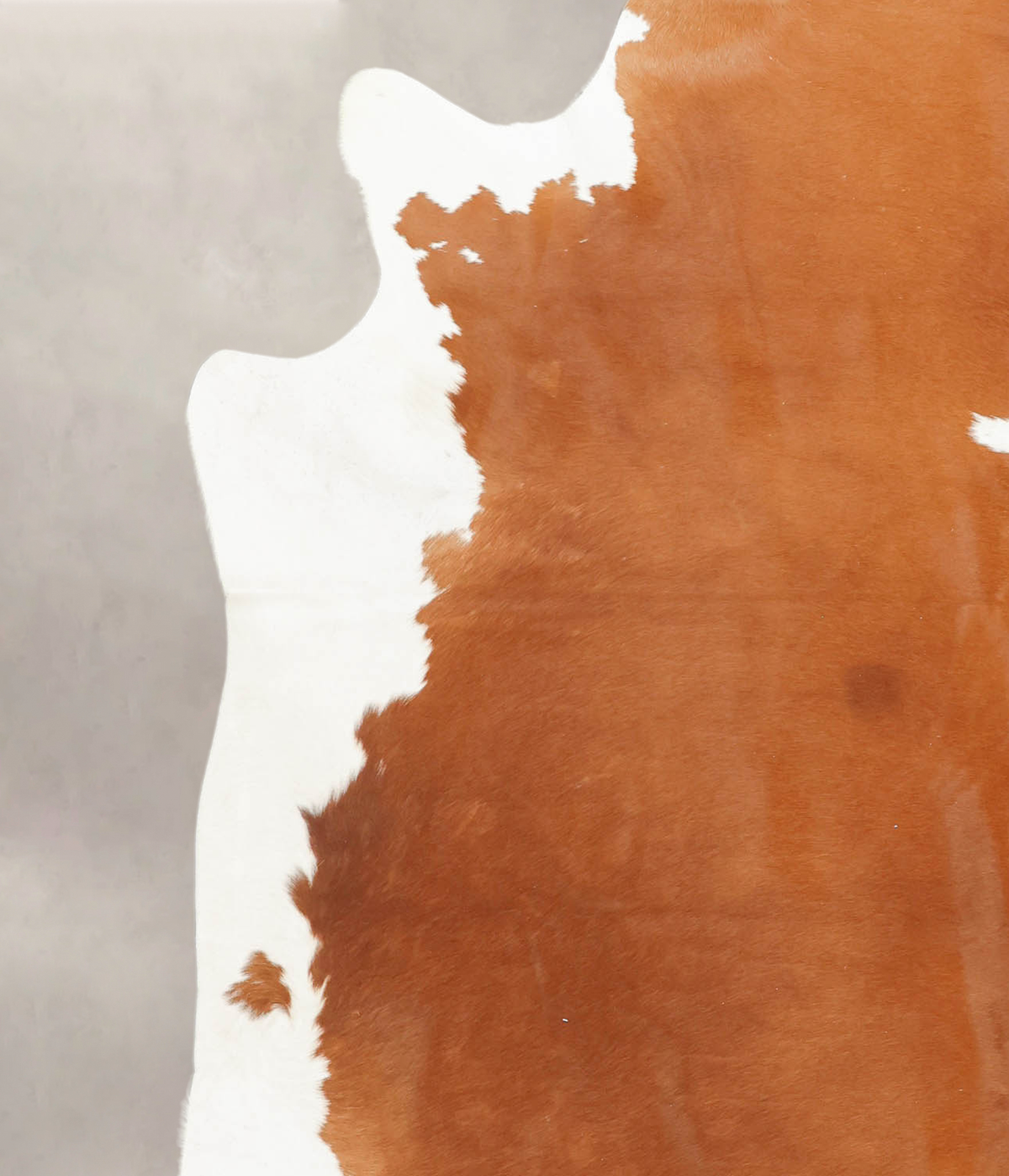Brown and White Cowhide Rug #B1537