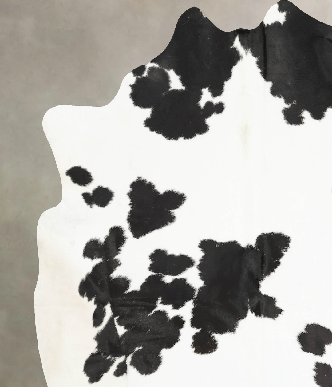 Black and White XX-Large Brazilian Cowhide Rug 8'6"H x 7'7"W #B15437 b