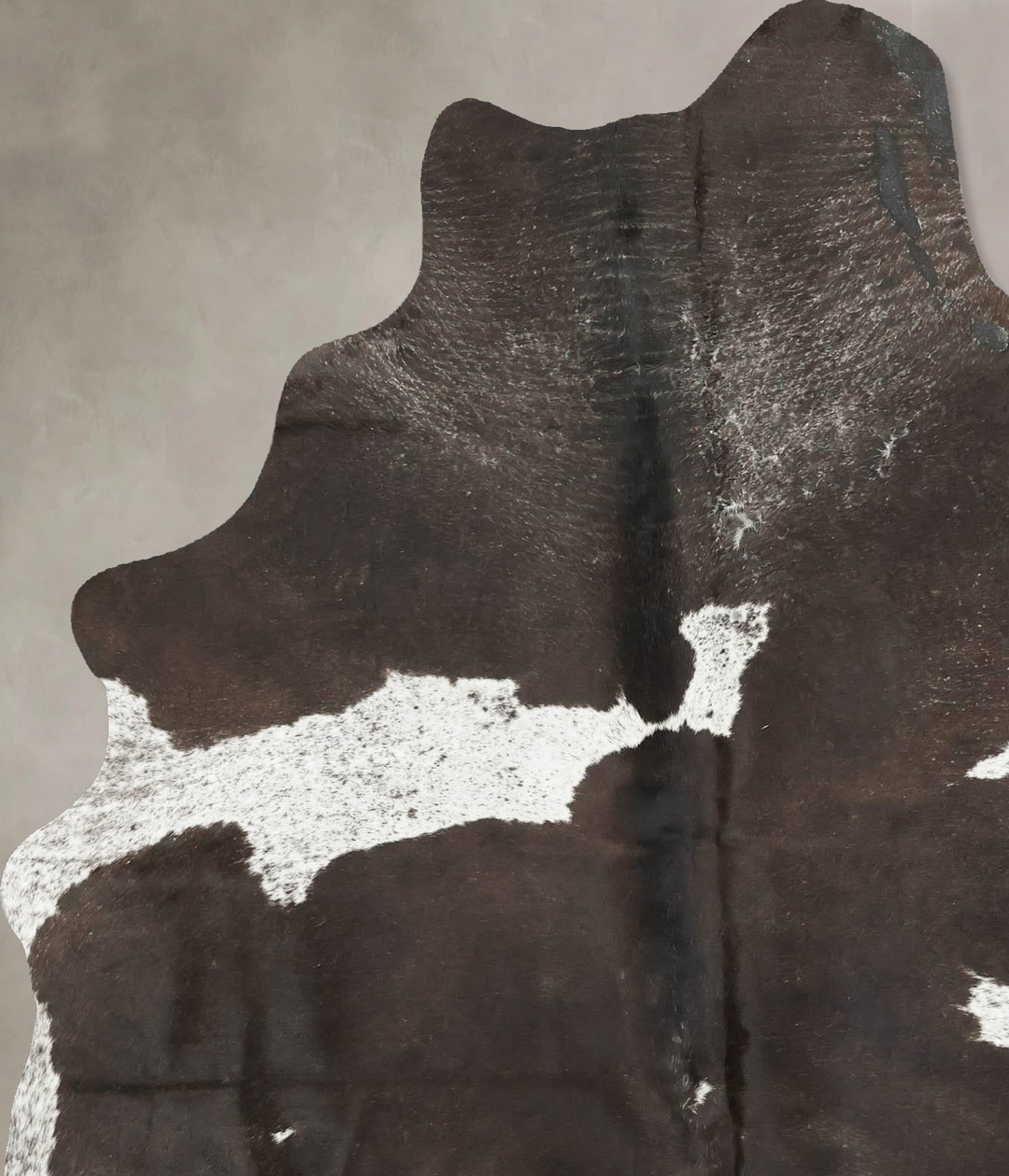 Chocolate and White Large Brazilian Cowhide Rug 6'8"H x 5'2"W #B15487 