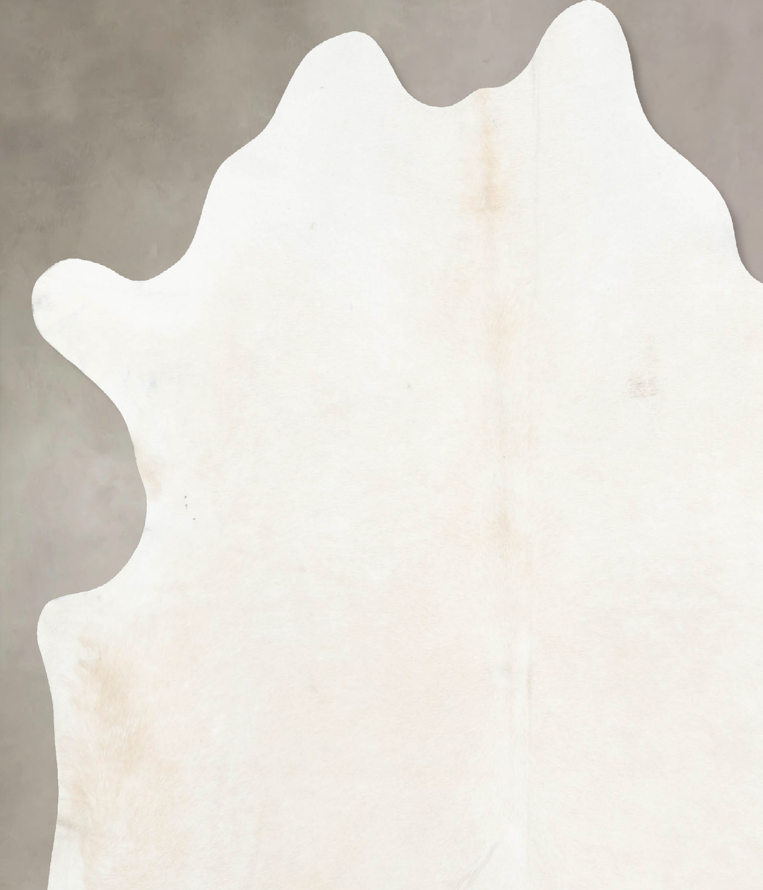 Ivory with Beige XX-Large Brazilian Cowhide Rug 8'2"H x 7'4"W #B15491 