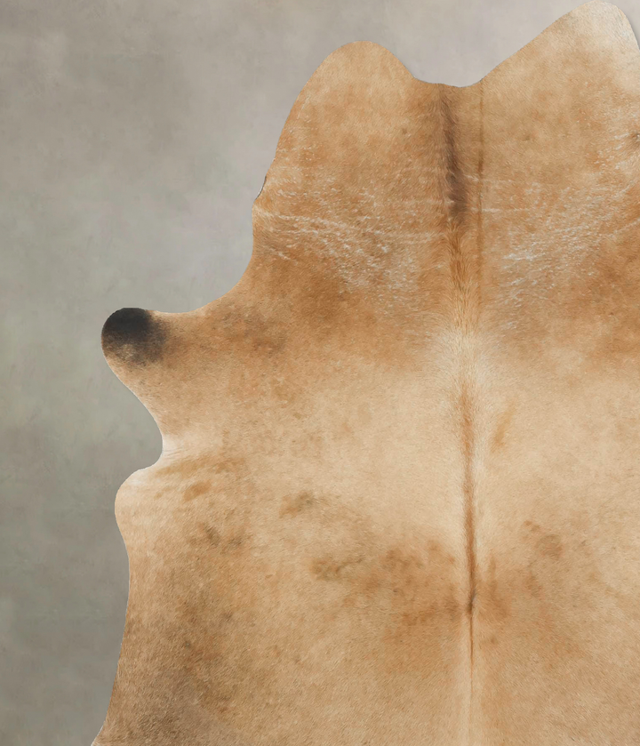 Light Caramel X-Large Brazilian Cowhide Rug 6'10"H x 6'0"W #B15494 by Hudson Hides