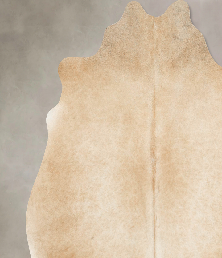 Palomino X-Large Brazilian Cowhide Rug 7'3"H x 6'9"W #B15495 by Hudson Hides