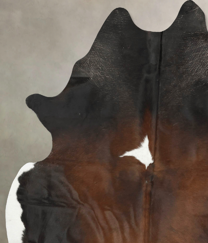 Chocolate and White XX-Large Brazilian Cowhide Rug 8'3"H x 6'2"W #B15509 by Hudson Hides