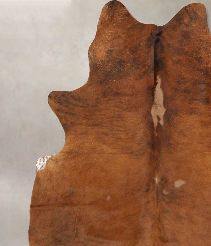 Medium Brindle XX-Large Brazilian Cowhide Rug 7'10"H x 6'11"W #B15521 by Hudson Hides