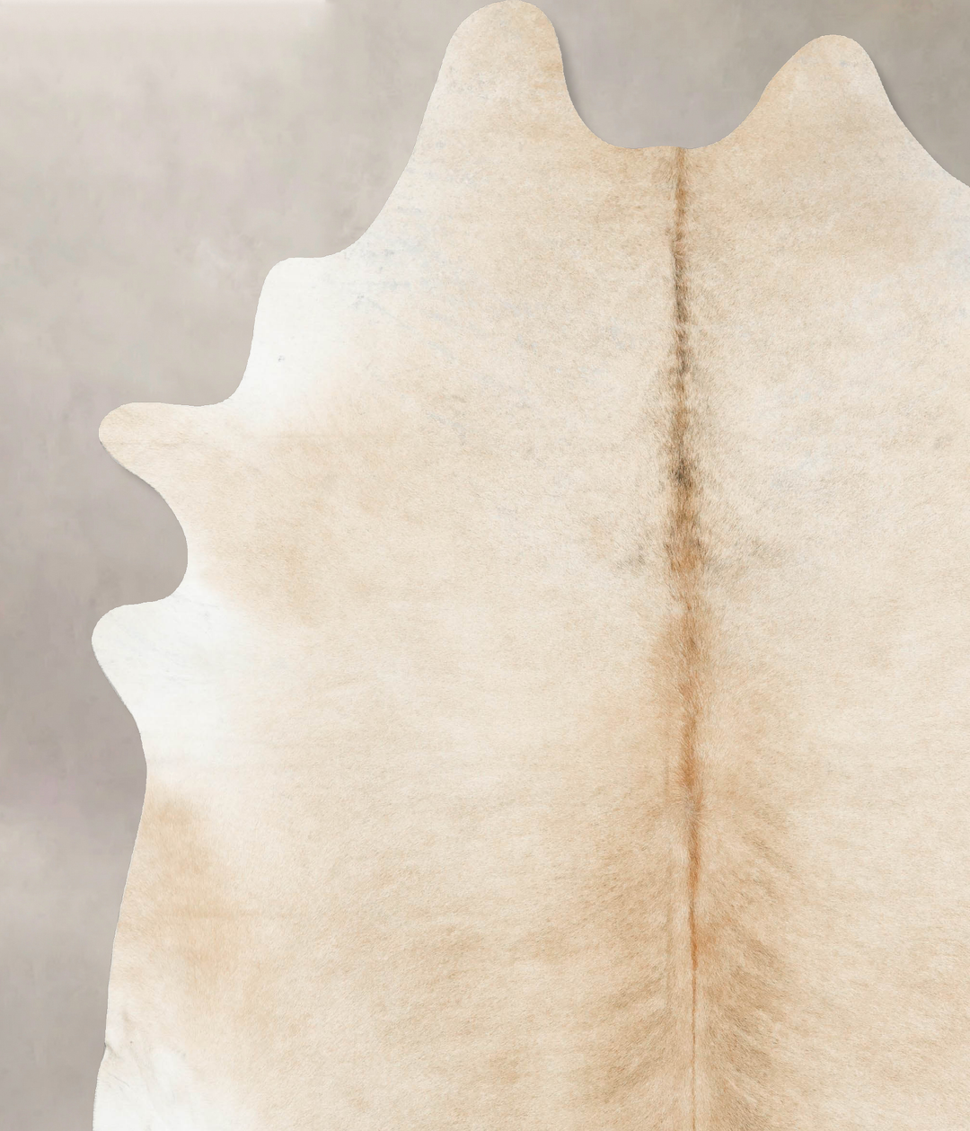 Palomino XX-Large Brazilian Cowhide Rug 9'5"H x 7'11"W #B15535 by Huds