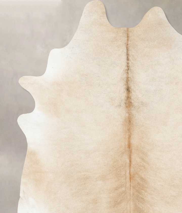 Palomino XX-Large Brazilian Cowhide Rug 9'5"H x 7'11"W #B15535 by Hudson Hides