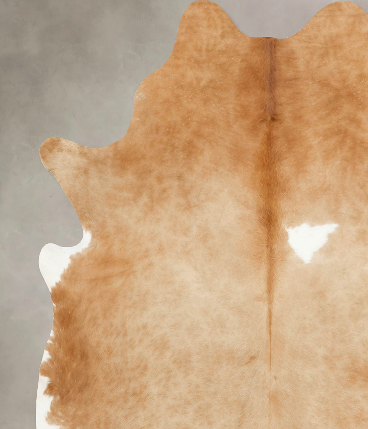 Beige X-Large Brazilian Cowhide Rug 7'4"H x 6'5"W #B15536 by Hudson Hides