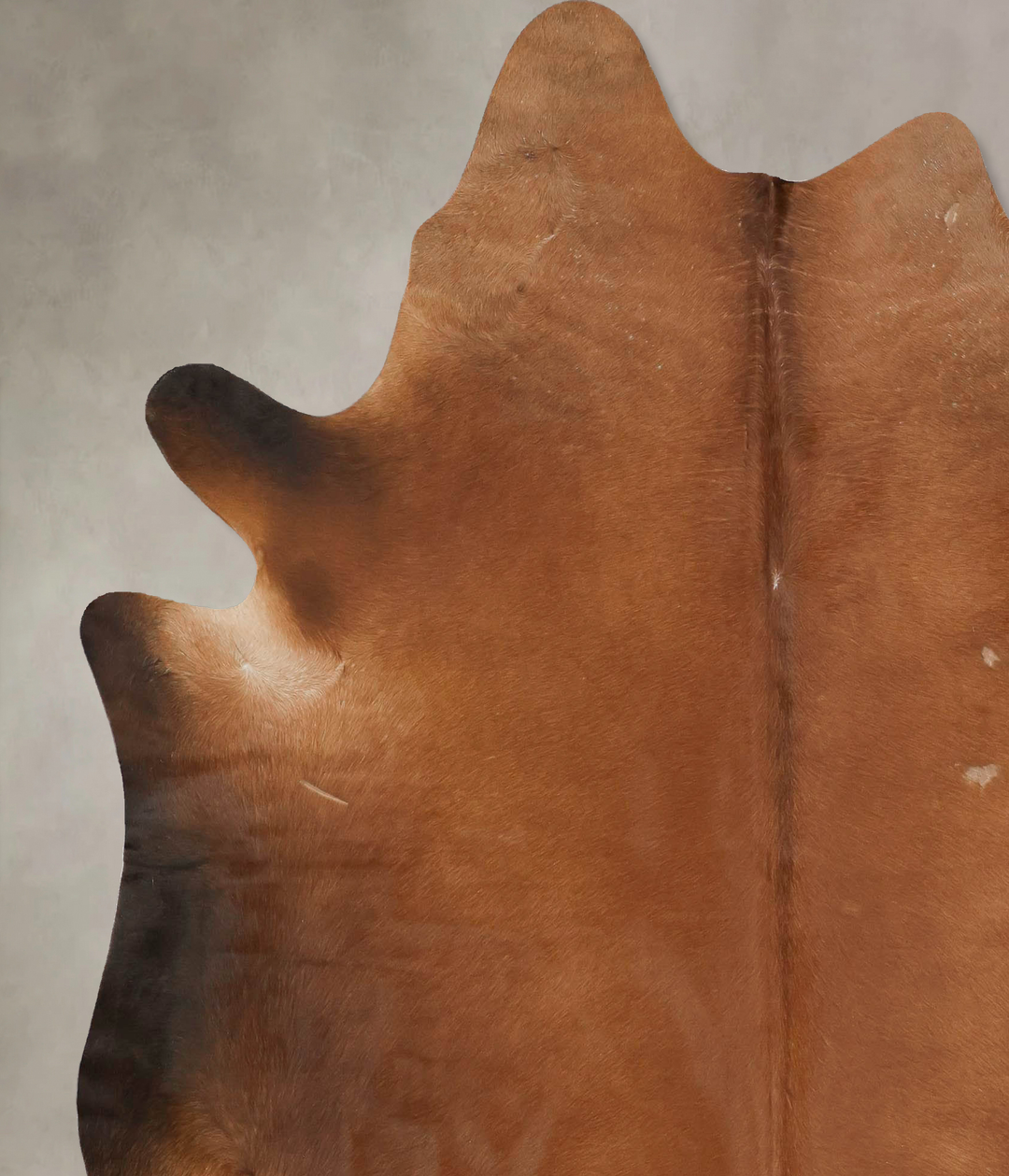Warm Caramel XX-Large Brazilian Cowhide Rug 7'9"H x 6'7"W #B15541 by H