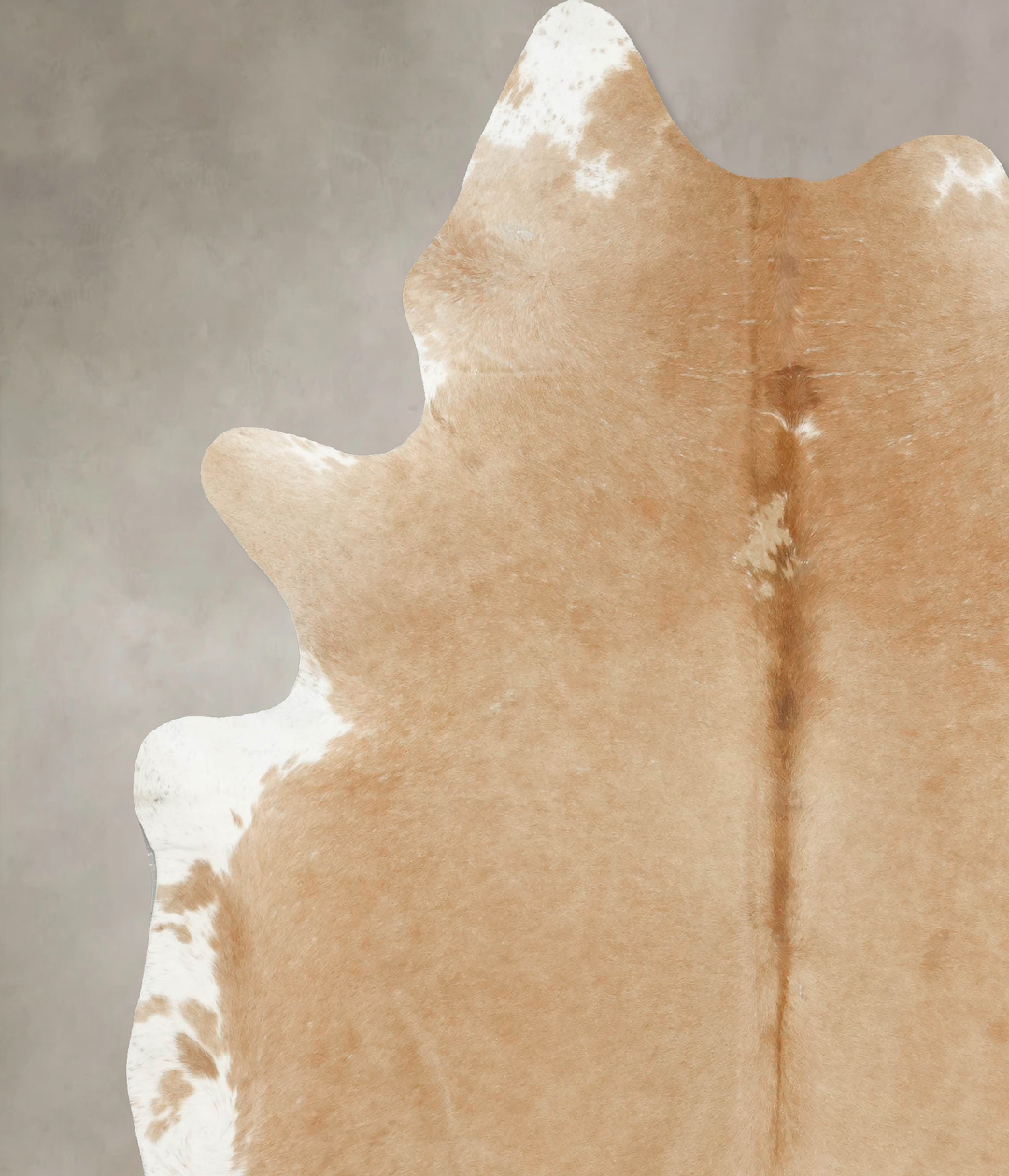 Beige XX-Large Brazilian Cowhide Rug 8'5"H x 7'2"W #B15542 by Hudson H