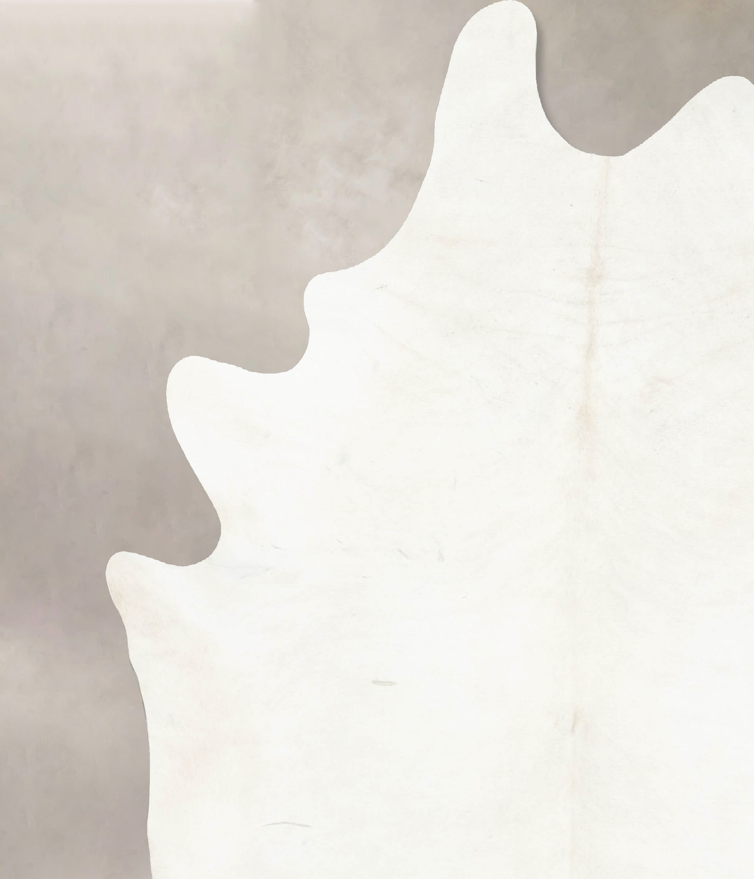 Ivory with Beige XX-Large Brazilian Cowhide Rug 8'9"H x 7'6"W #B15543 