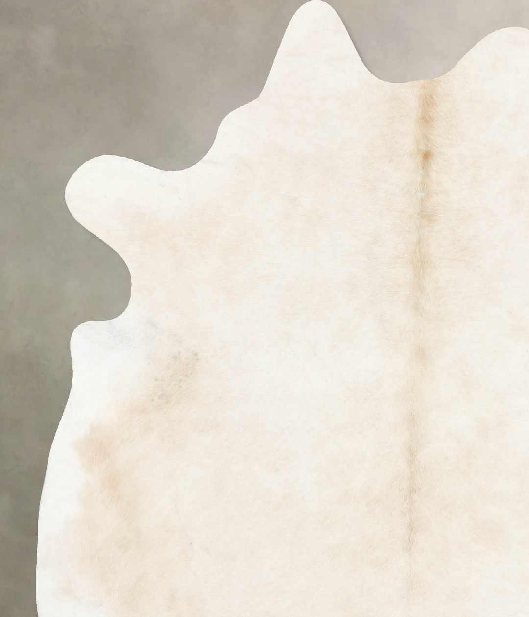 Palomino X-Large Brazilian Cowhide Rug 7'7"H x 6'4"W #B15545 by Hudson