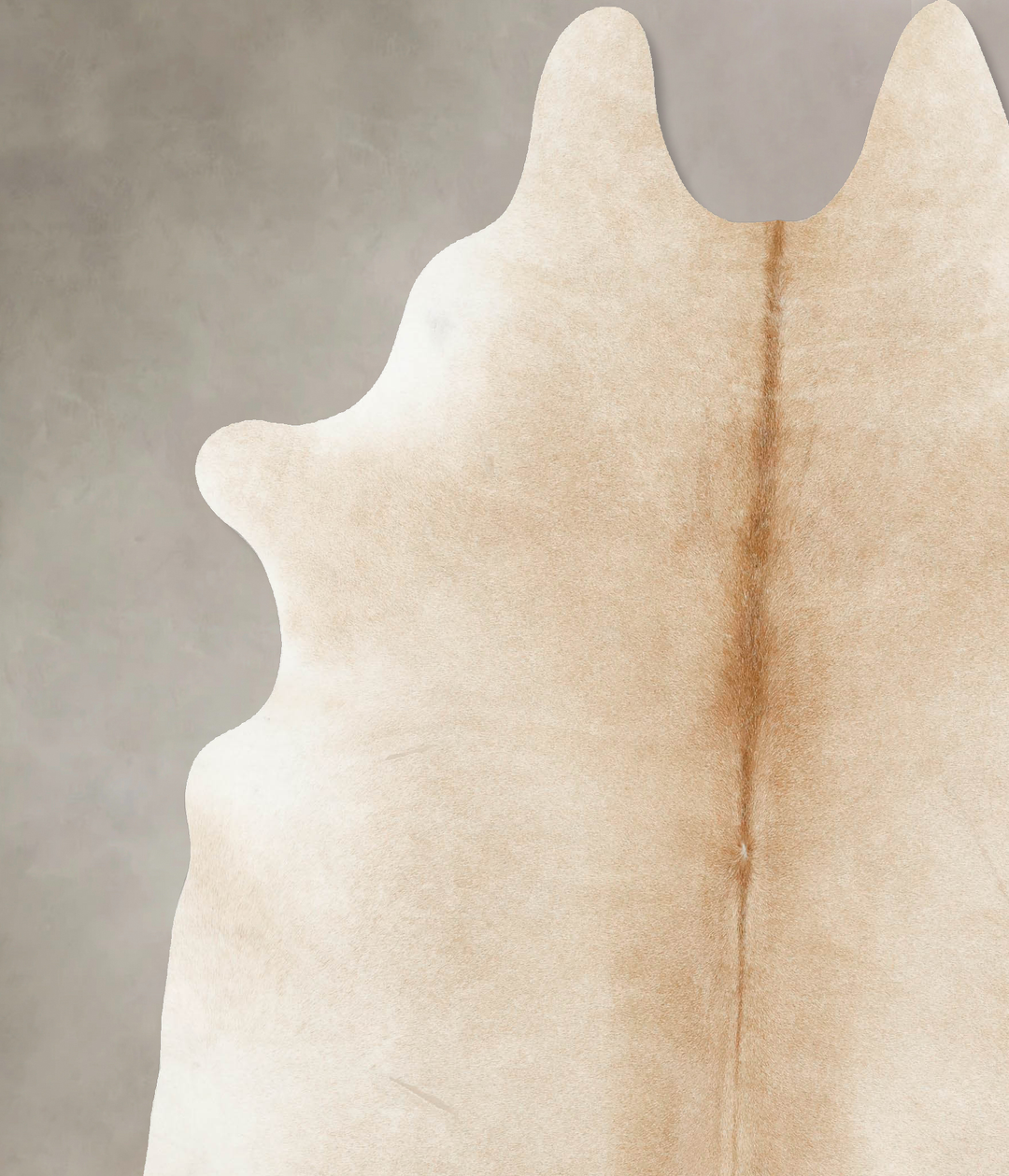 Palomino XX-Large Brazilian Cowhide Rug 7'9"H x 7'1"W #B15558 by Hudso