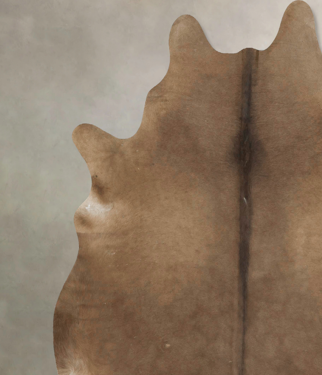 Taupe XX-Large Brazilian Cowhide Rug 7'11"H x 7'2"W #B15564 by Hudson 