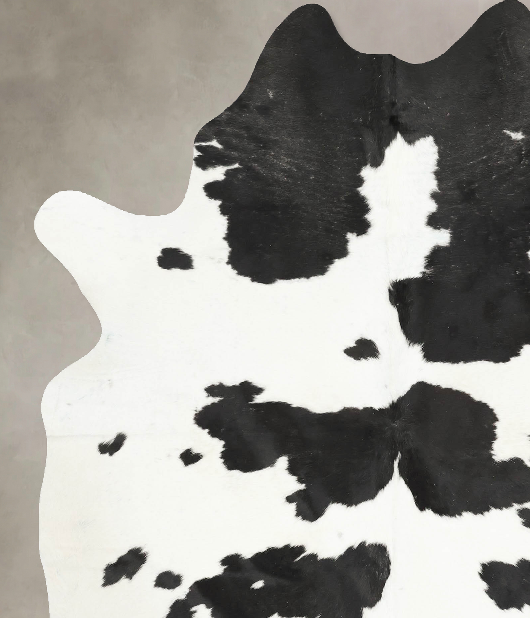 Black and White X-Large Brazilian Cowhide Rug 7'11"H x 6'3"W #B15565 b