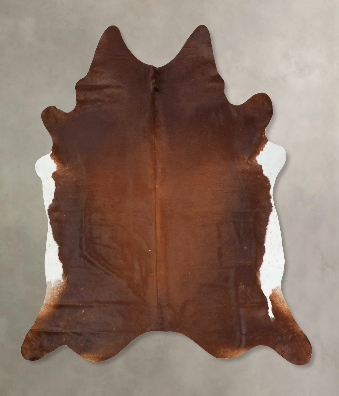 Warm Caramel XX-Large Brazilian Cowhide Rug 7'11"H x 7'2"W #B15594 by 