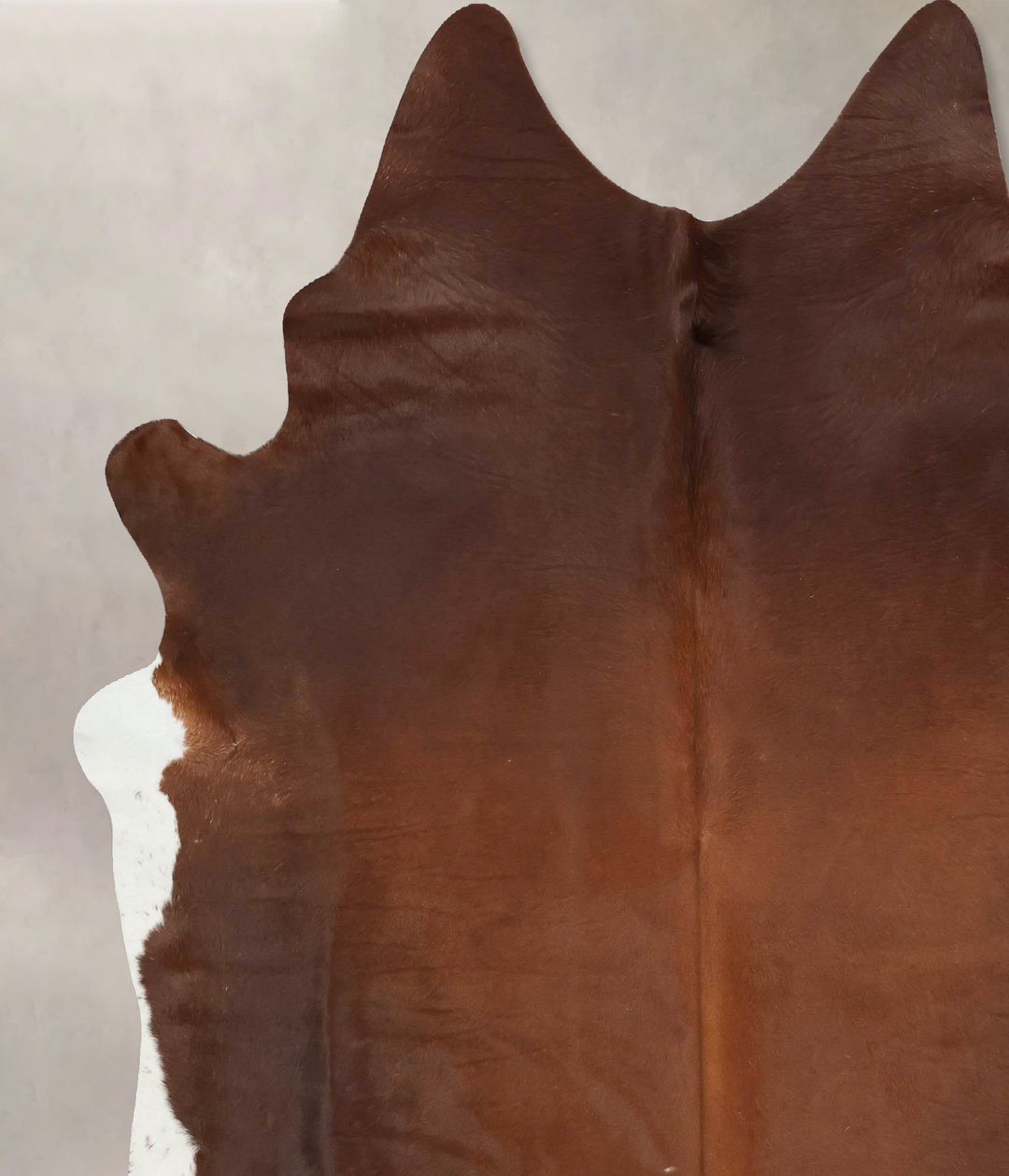 Warm Caramel XX-Large Brazilian Cowhide Rug 7'11"H x 7'2"W #B15594 by 