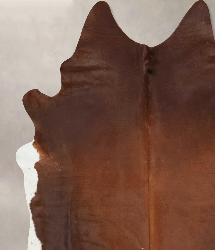 Warm Caramel XX-Large Brazilian Cowhide Rug 7'11"H x 7'2"W #B15594 by Hudson Hides