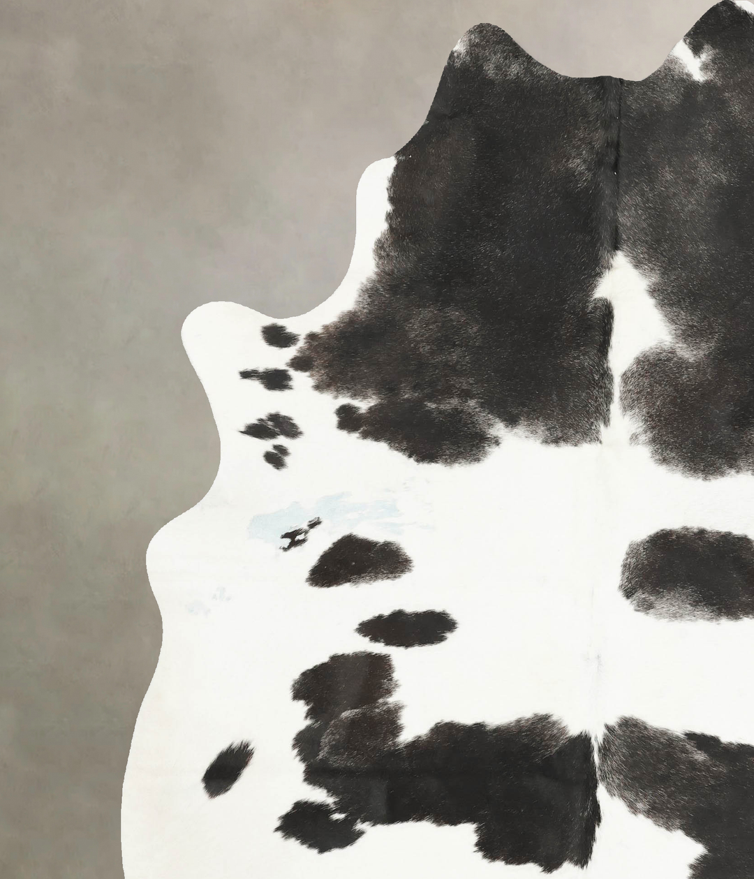 Black and White XX-Large Brazilian Cowhide Rug 8'1"H x 6'6"W #B15596 b