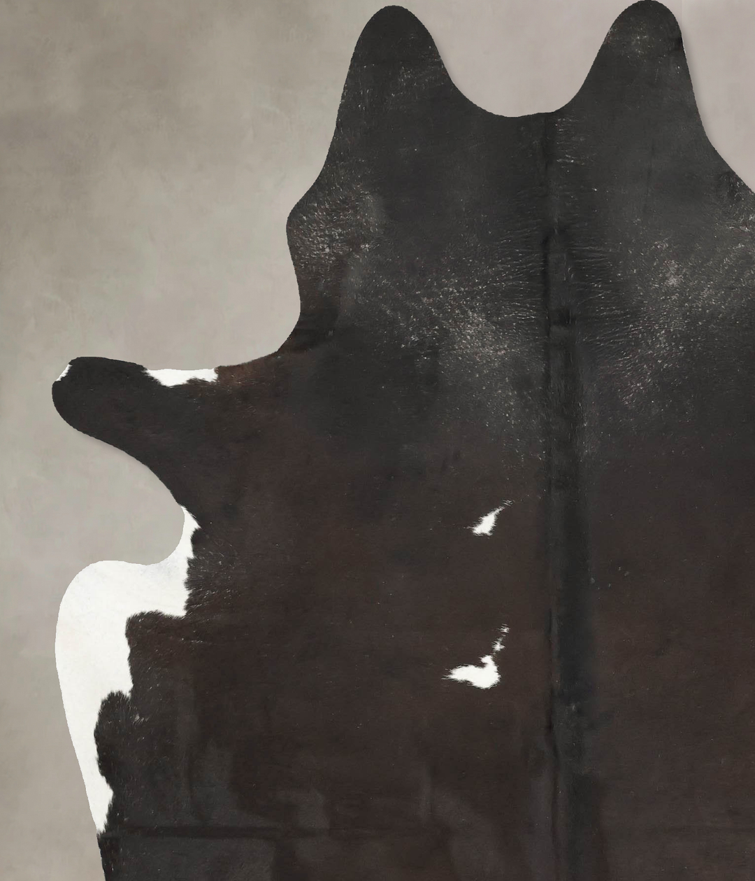 Chocolate and White X-Large Brazilian Cowhide Rug 7'6"H x 6'0"W #B1560